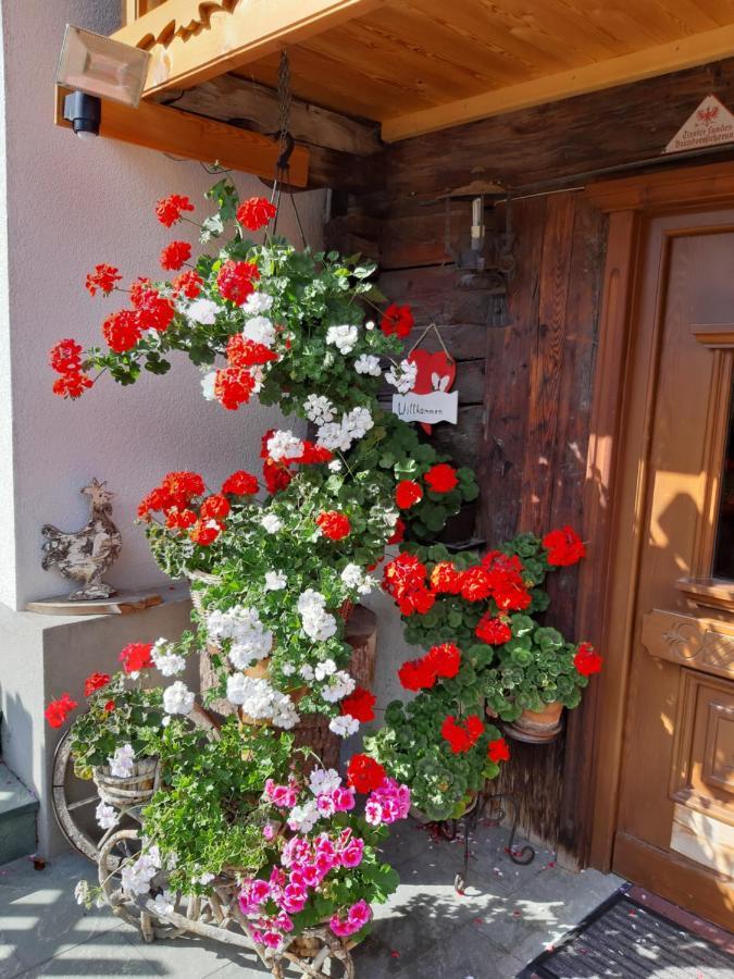 Ferienhaus Grofn 마트레이 인 오스티롤 외부 사진